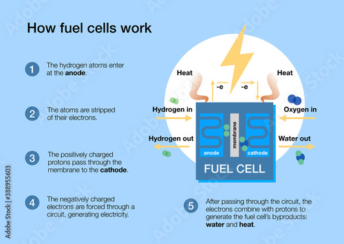фотографія How fuel cells work to produce electricity from hydrogen and air