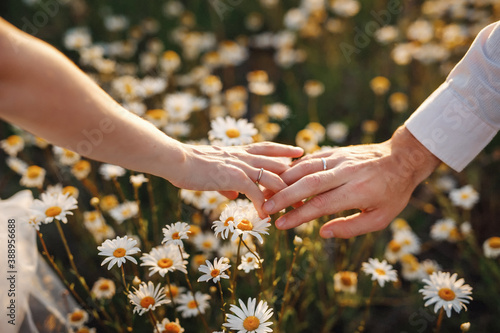 A man and a woman holding hands with wedding rings on a background of daisies Wedding couple holding hands on daisies background. Day of Family, Love and Fidelity. Day of Peter and Fevronia