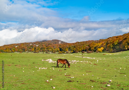 Monte Gennaro (Italy) - Also know as Monte Zappi, peak in the Monti Lucretili mountains, Lazio region, at 1271 meters, is the highest peak visible looking from Rome. Here in autumn during the foliage photo