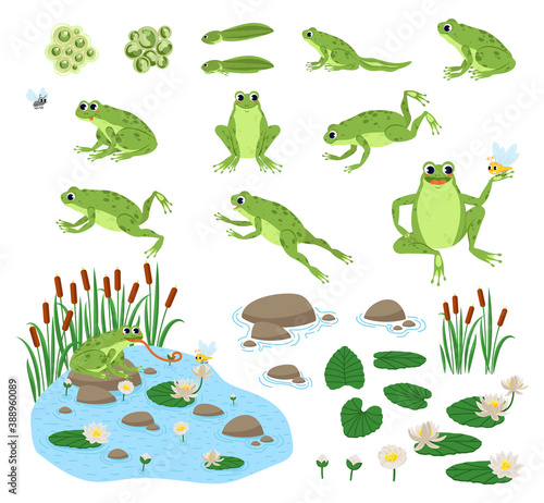 Set of cartoon hungry frog sad, smile, resting and hunting. Happy frog sit and jump clip art, different pose, with pond, plants, dragonfly.