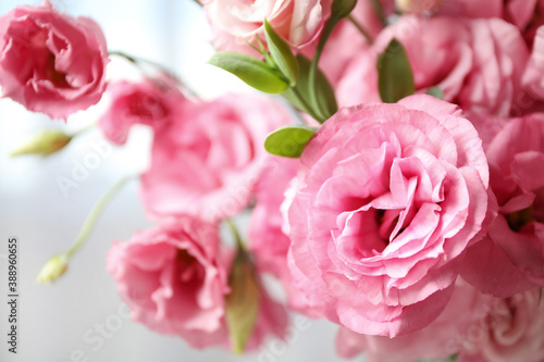 Beautiful pink Eustoma flowers on light background, closeup