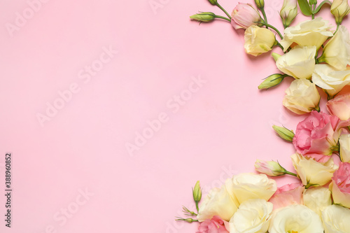 Beautiful Eustoma flowers on pink background, flat lay. Space for text