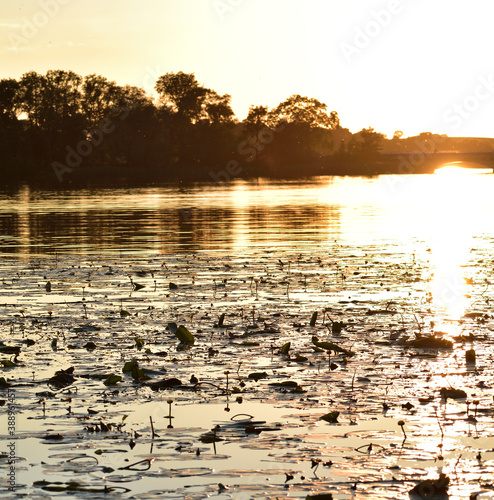zachód słońca nad jeziorem