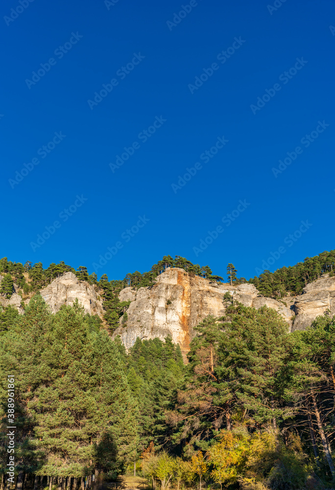 Vertical rock cliffs over the pine tree forest under blue sky