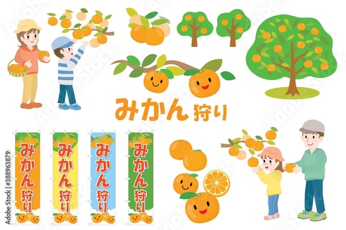 みかん狩りのセットイラスト