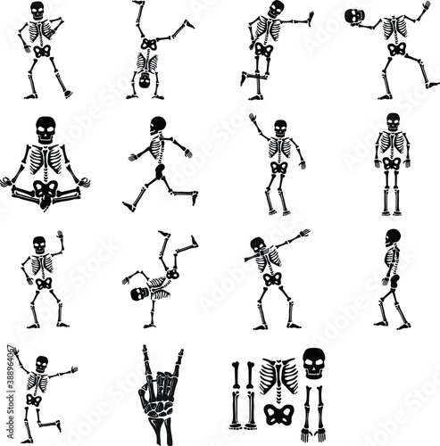 Set of skeletons silhouette 