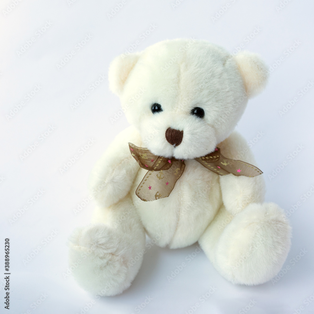 White plush  toy teddy bear on white background