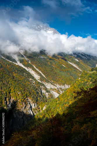 forest in autumn colors in Valley Derborence in Valais