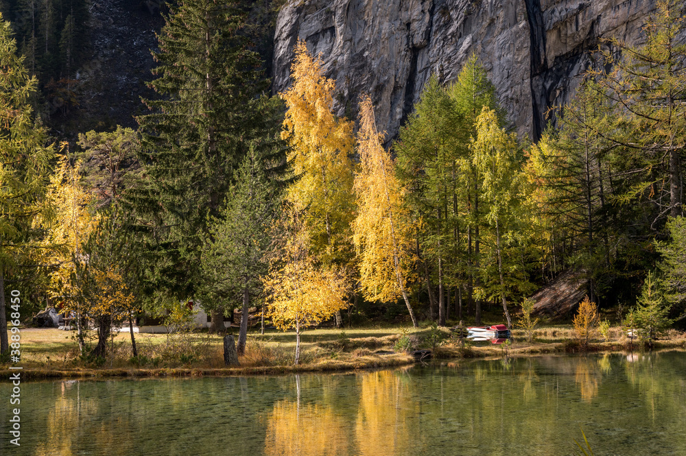 autumn forest at Lac de Derborence in Valais autumn forest at Lac de Derborence in Valais