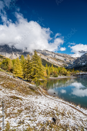 yellow larch in autumn at Lac de Derborence in valais