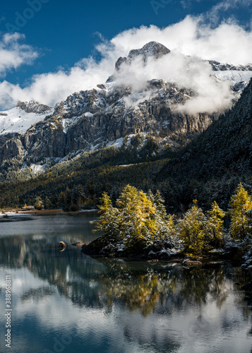yellow larch in autumn at Lac de Derborence in valais