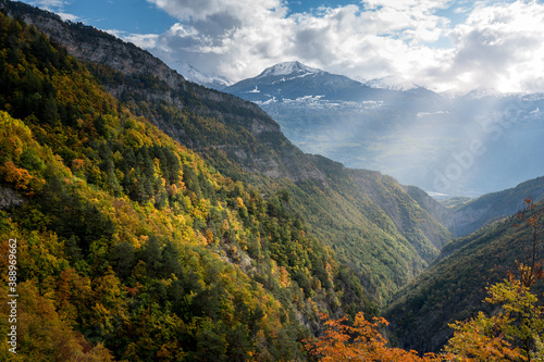 wonderful autumn forest in Derborence, Valais