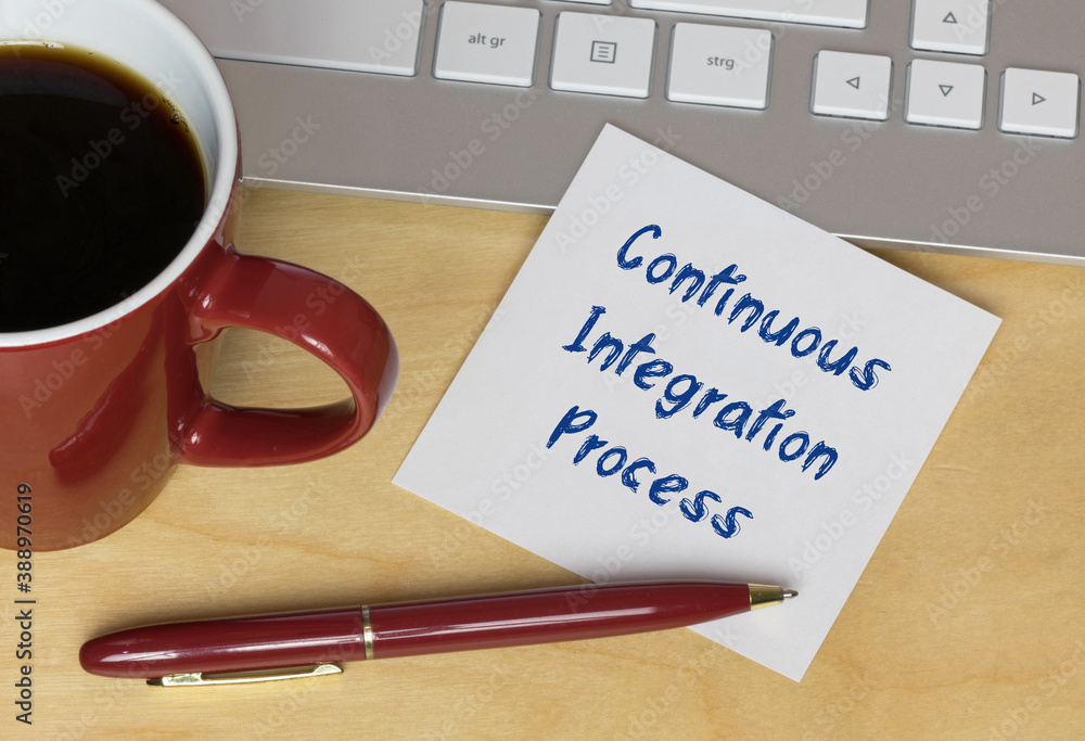 Continuous Integration Process Continuous Integration Process