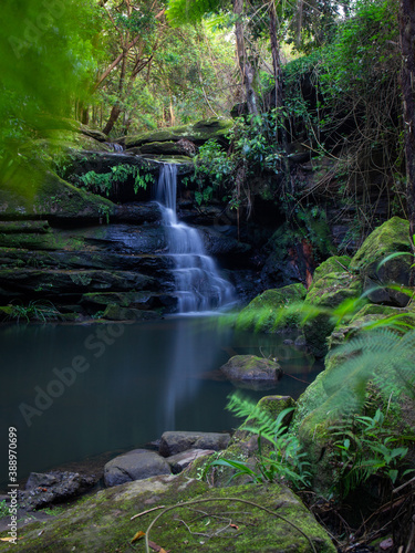 Fototapeta Naklejka Na Ścianę i Meble -  Mossy rocks around the waterfall at Lane Cove, Sydney, Australia.