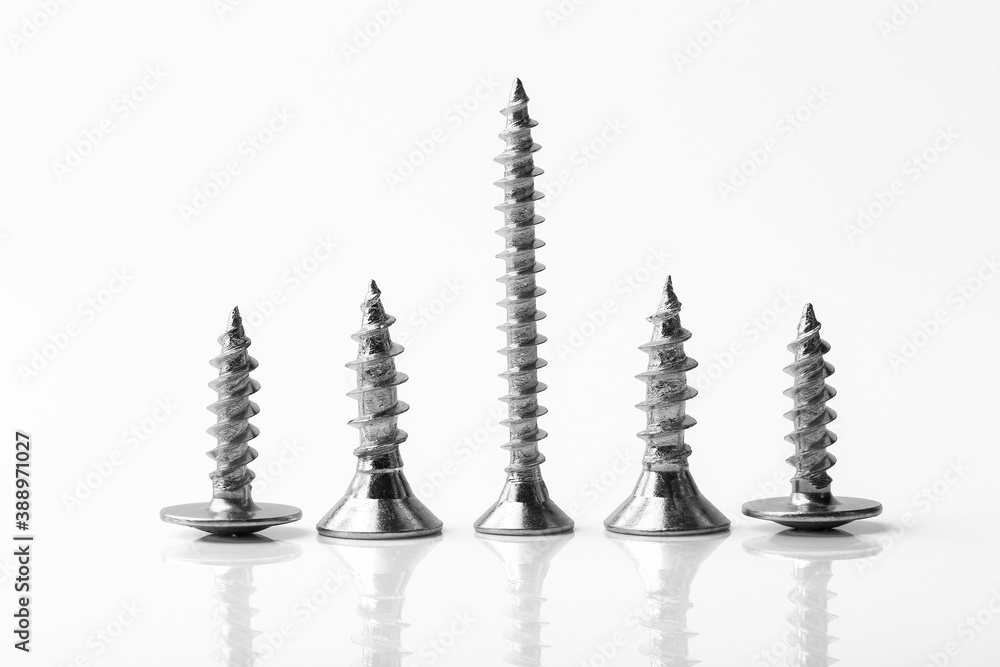 Screws of different lengths on a white background Screws of different lengths on a white background