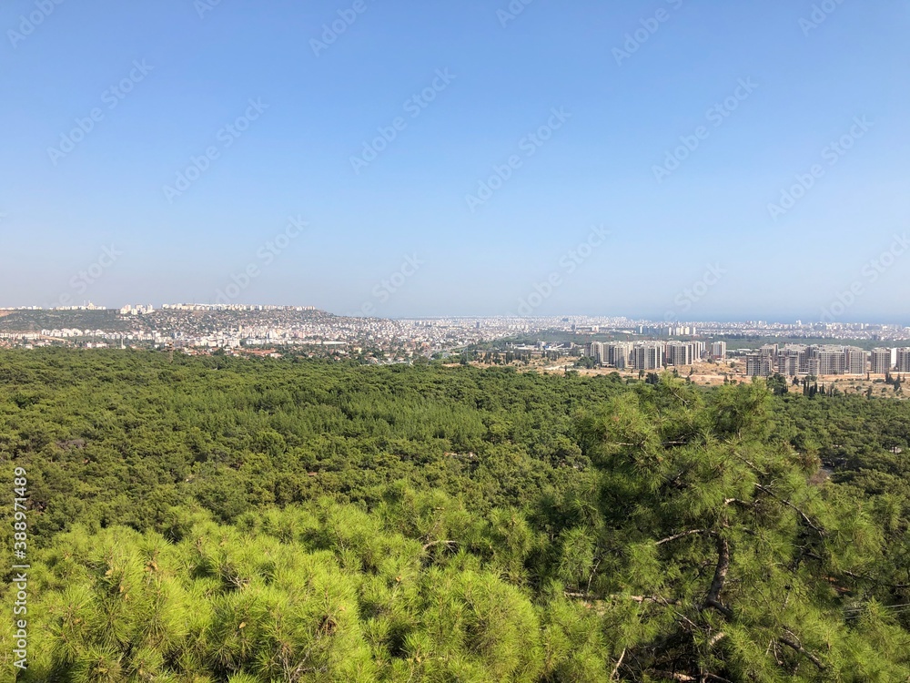 view of the city from the hill