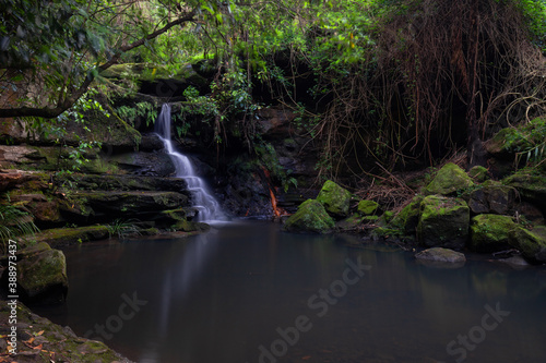 Small Lilly Pilly waterfall at Lane Cove  Sydney  Australia.