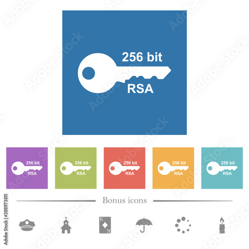 256 bit rsa encryption flat white icons in square backgrounds