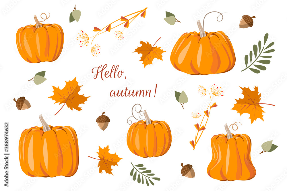 Hello, autumn. Autumn cute card with different pumpkins, leaves, acorns. Autumn background, holiday packaging