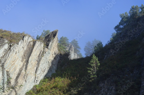 Morning fog in the mountainous taiga area.