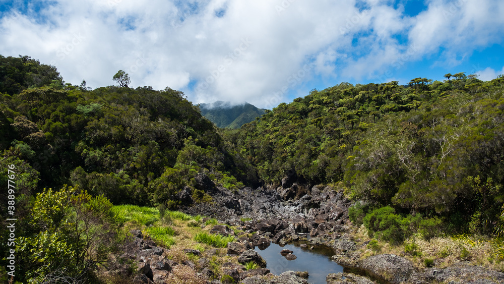 dry river in the mountains of Reunion Island dry river in the mountains of Reunion Island