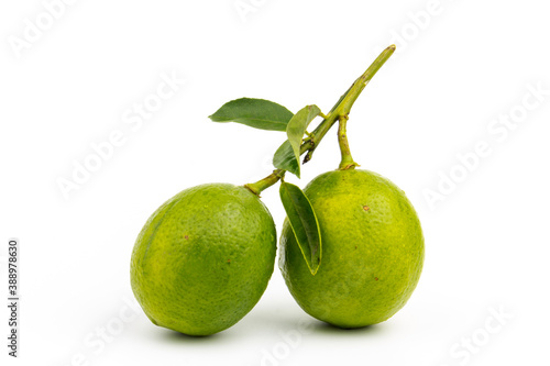 fresh green lime  Citrus aurantifolia Swingle  with  leaves  isolated on white background