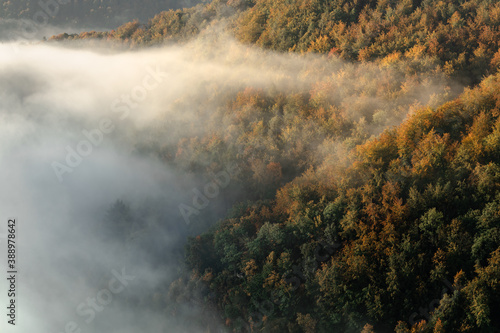 mysterious fog rising over a valley with a colorful autumn forest at sunrise