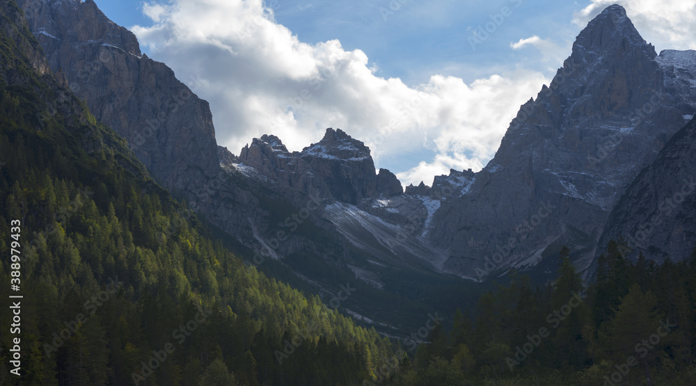 un bosco ed i suoi colori annunciano l'imminente arrivo dell'autunno