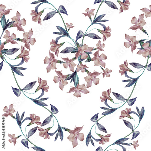 Fototapeta Naklejka Na Ścianę i Meble -  Garden periwinkle painting in watercolor. Bouquet on white background. Floral seamless pattern for decor.