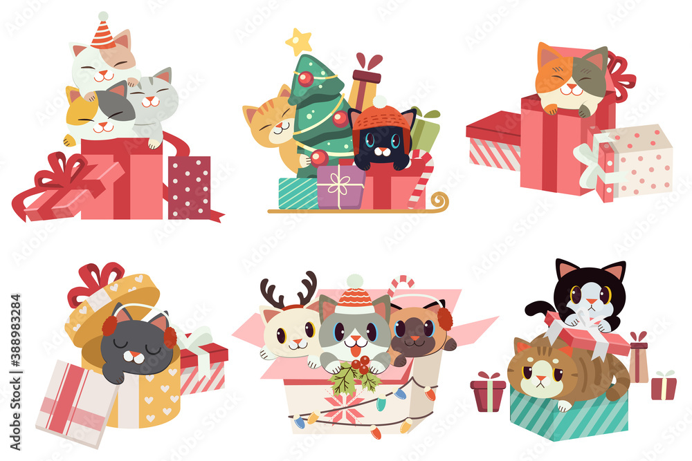 The collection of cute cat playing a gift box in flat vector style.Graphic resource about christmas for graphic,content , banner, sticker label and greeting card. The collection of cute cat playing a gift box in flat vector style.Graphic resource about christmas for graphic,content , banner, sticker label and greeting card.