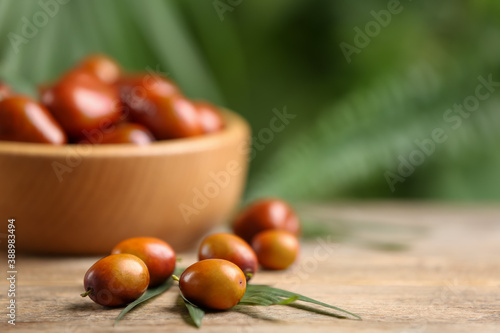 Fresh ripe oil palm fruits on wooden table, closeup. Space for text