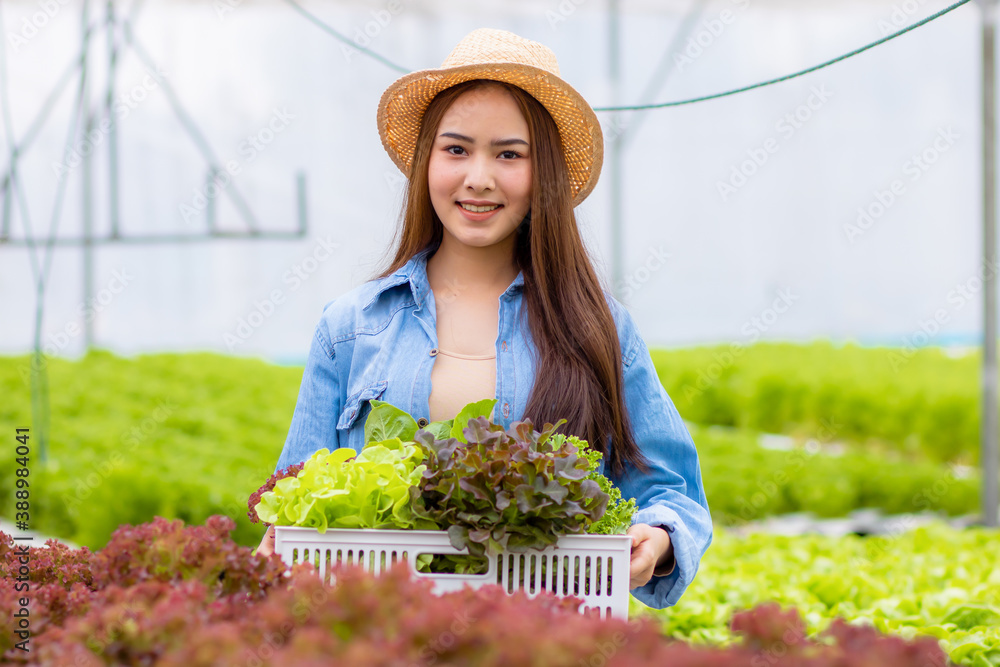 Beauty Asian woman farmer owner with smile holding hydroponic vegetables and checking organic plant growing in farm