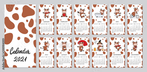 Wall calendar design template for 2021, the year of the Ox, cow, or bull according to the Chinese calendar. Set of 12 pages and cover with a cute bull. Vector stock flat illustration