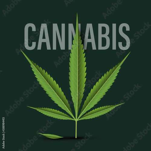 Cannabis Leaf Design on Dark Backgroud - Vector