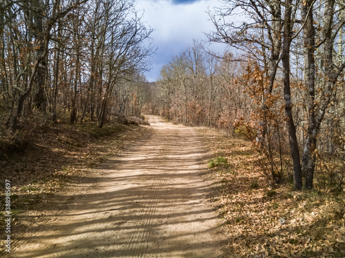 Dirt road at the entrance to a mountain or forest of oaks 