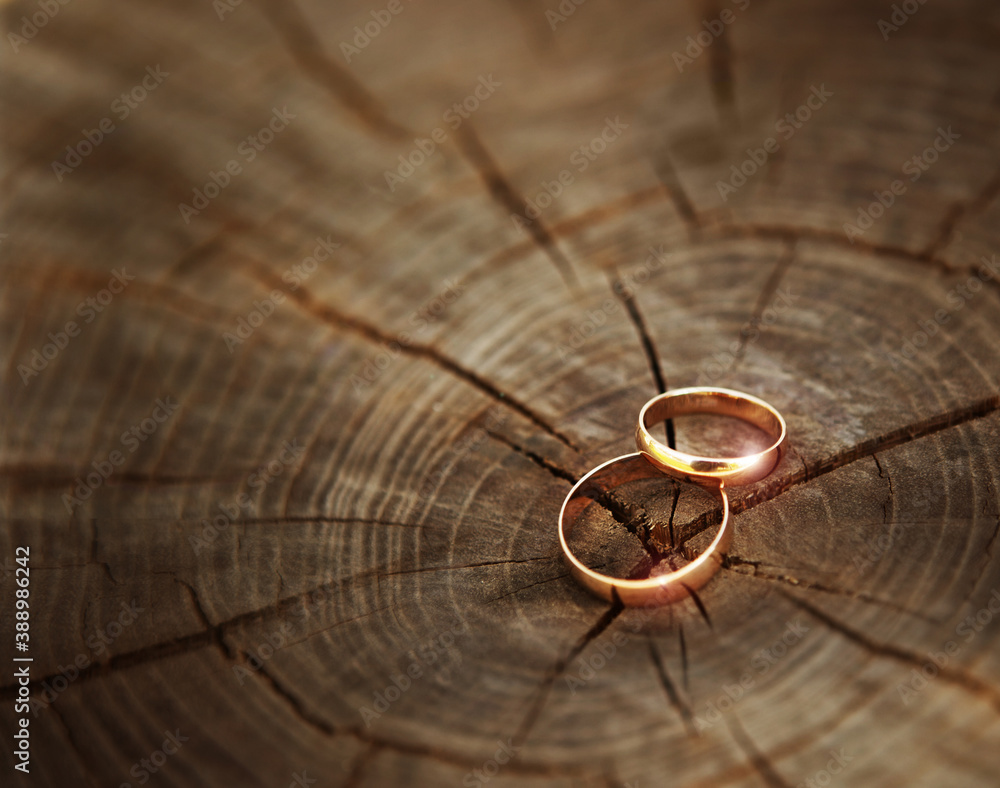 Two wedding rings lying on a wooden stump close-up. Wood cut texture Two wedding rings lying on a wooden stump close-up. Wood cut texture