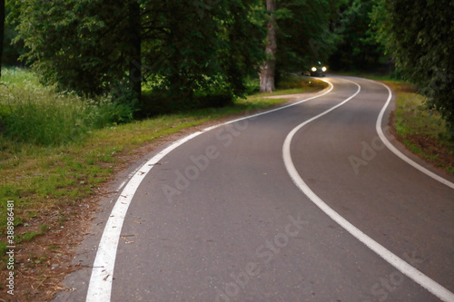 winding dangerous forest asphalt road with markings