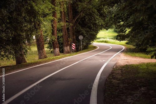 winding dangerous forest asphalt road with markings