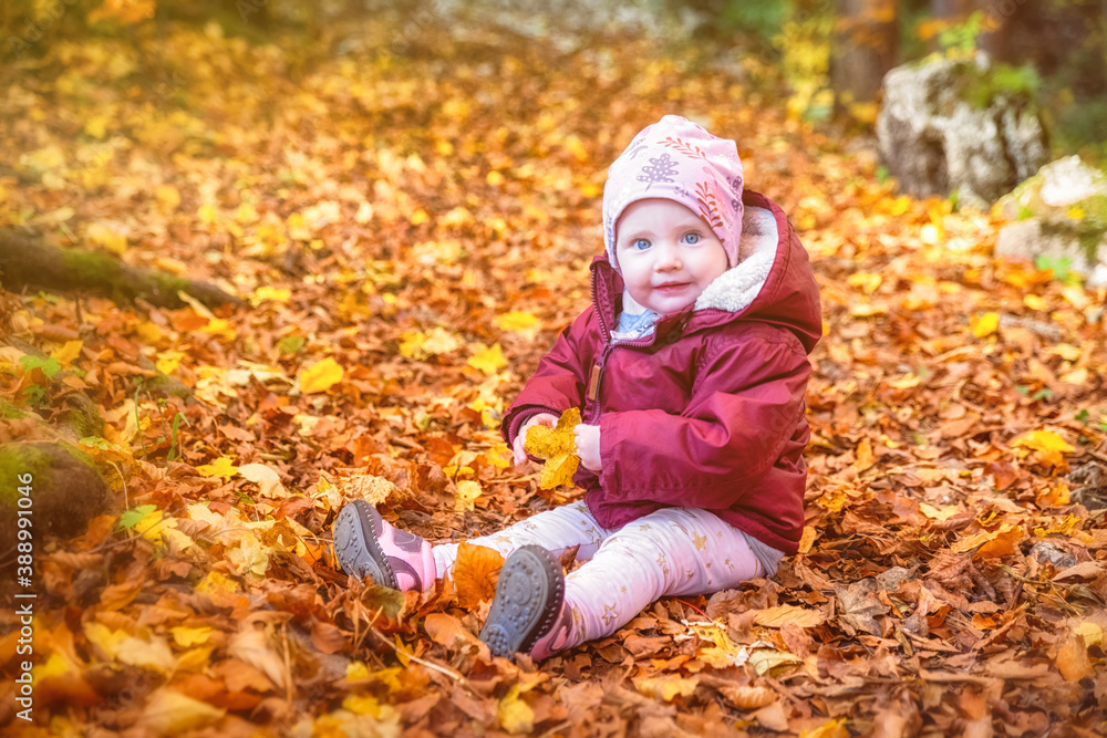 Happy liitle baby sitting on colorful leaves in forest Happy liitle baby sitting on colorful leaves in forest