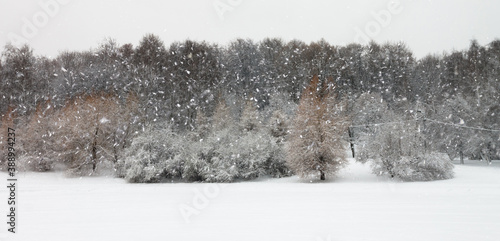 Billede på lærred image of a heavy snowfall