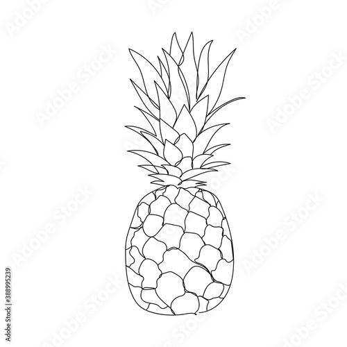 Ananas - one line drawing. Vector illustration continuous line drawing.