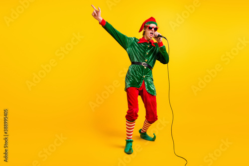 Canvas Print Full length body size view of his he nice attractive cool talented funny guy elf