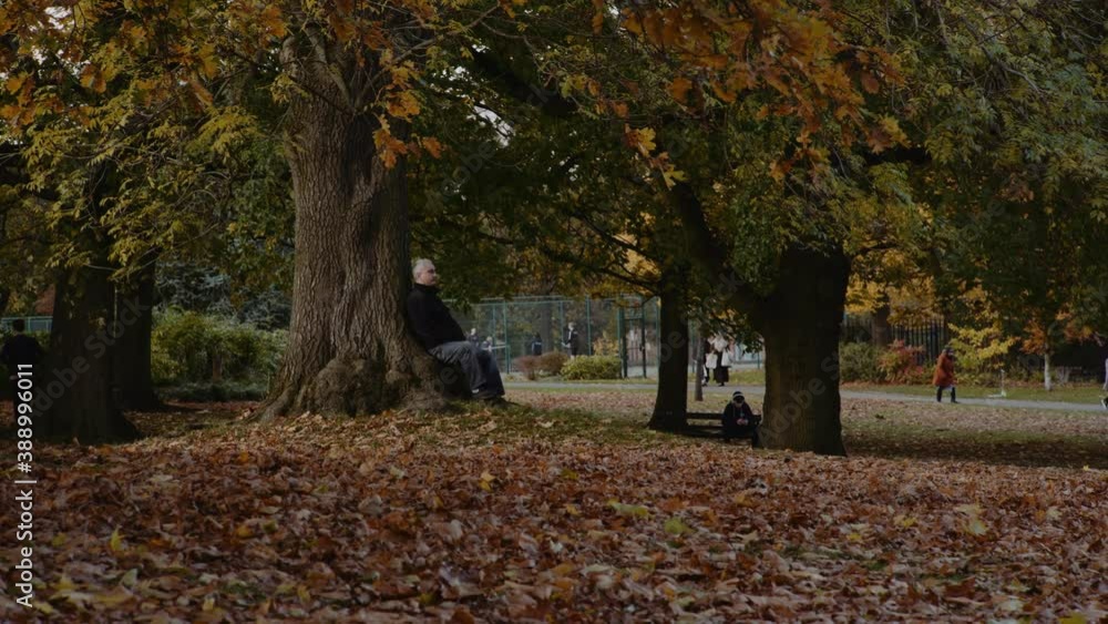 Man relaxing at Western Park against Tree Stump, Autumn Season, University of Sheffield Campus, Sheffield, South Yorkshire, UK. Man relaxing at Western Park against Tree Stump, Autumn Season, University of Sheffield Campus, Sheffield, South Yorkshire, UK.