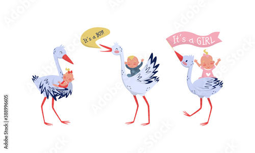 Feathered Stork with Long Bill Carrying Baby Vector Set