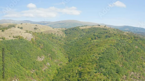 Aerial shot of a forest on mountains
