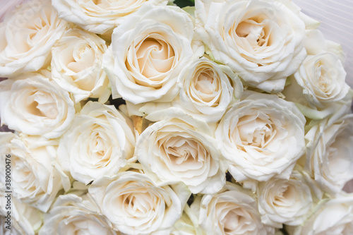 White roses horizontal seamless pattern. White roses arrangement. Bouquet of white roses