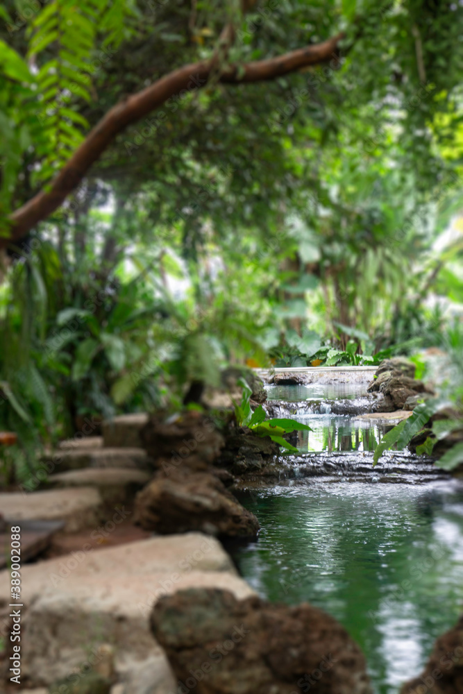 Green plants feel fresh surroundings, stock photo Green plants feel fresh surroundings, stock photo