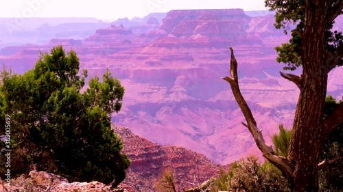 Arizona Grand Canyon A zoom out from the Grand Canyon through the trees