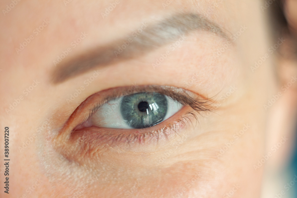 Obraz premium Close-up of a woman's eye. Blue beautiful eyes without makeup