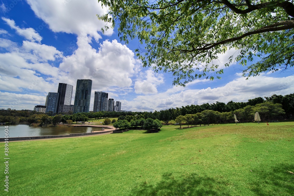 Colourful green park in Sydney with a large pond and apartment towers in the background 